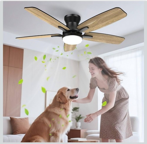 Ventilatore soffitto luce - ventilatore,
