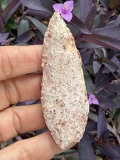 Angostura punta proiettile (Montgomery, punta di freccia Missouri - Paleo) - COA Dickey