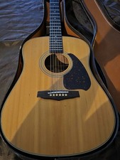  Vintage Ibanez Pf40 Acoustic