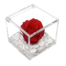 Rosa Eterna con Cubo