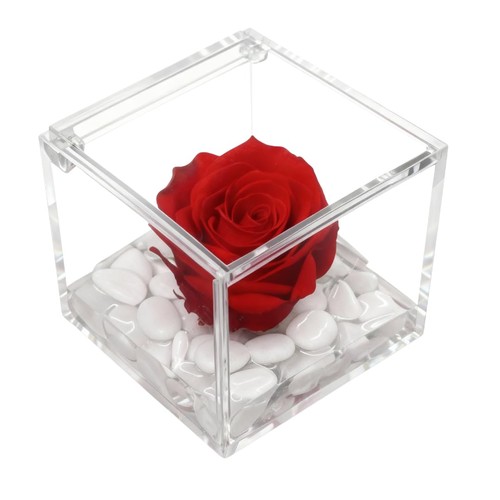Rosa eterna con cubo - rosa,