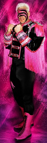 Banner vinile wwe gigante - vinile,