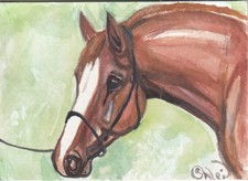 Aceo originale acquerello arte - acquerello,