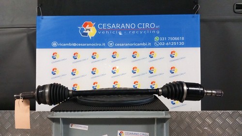 Semialbero ant compl sx - ant., compl.