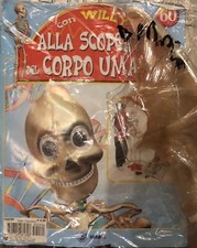 Alla scoperta del corpo umano