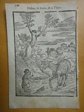 1607-L'ASINO, LA SIMIA, & LA TALPA-Xilografia di G.M.VERDIZZOTTI-originale+