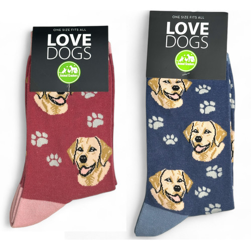 Calze labrador dorate uomo - labrador,