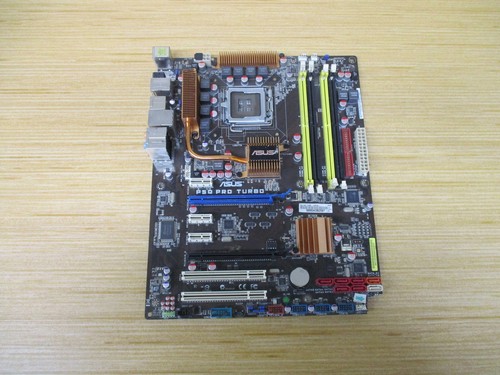 Scheda madre asus - madre, p5q