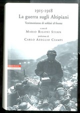 1915-1918. LA GUERRA SUGLI