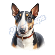Miniature Bull Terrier 8.5 x