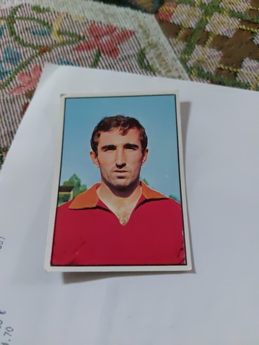 Figurina panini calciatori - figurina,