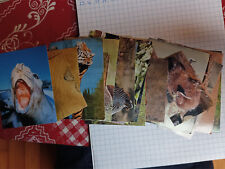 Lotto Figurine Il Grande Album degli Animali - Euroflash - 104 figurine