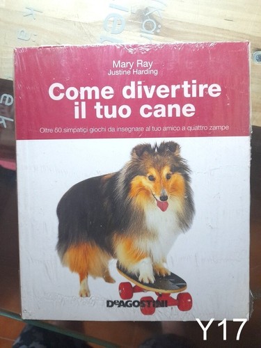Come divertire tuo - divertire,