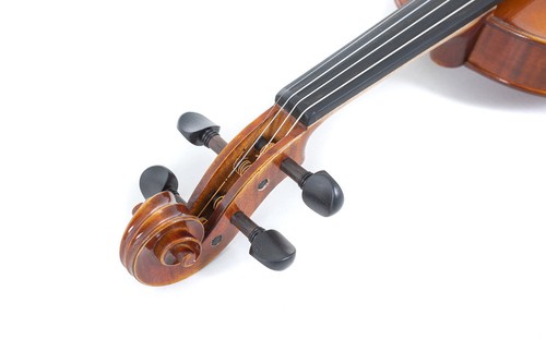 Violino maestro - violino,
