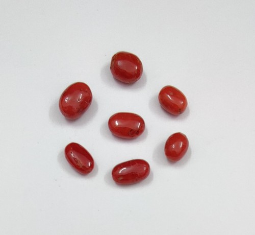 Autentico corallo rosso