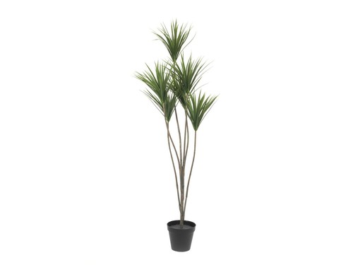 Palma yucca artificiale - palma,