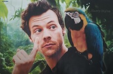 HARRY STYLES - A3 Poster