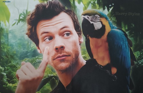 Harry styles a3 poster - -,