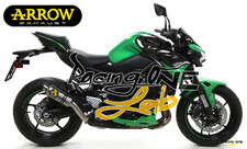 TERMINALE DI SCARICO ARROW GP2