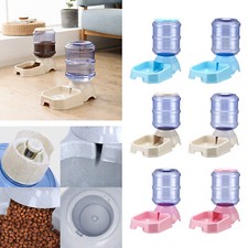 Ciotola dell'acqua del cibo