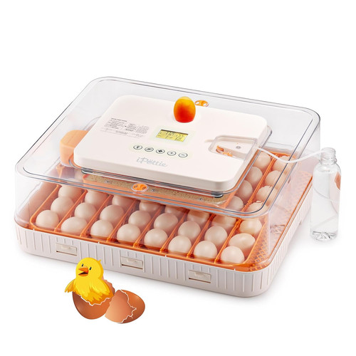 Prohatch56 incubatrice - prohatch56,