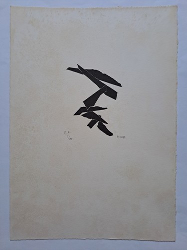 Alicia penalba litografia - penalba,