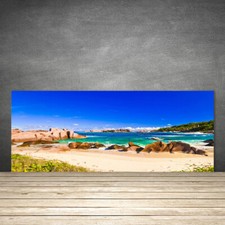 Paraschizzi da Cucina 125x50