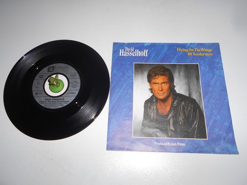 David hasselhof flying - david, the