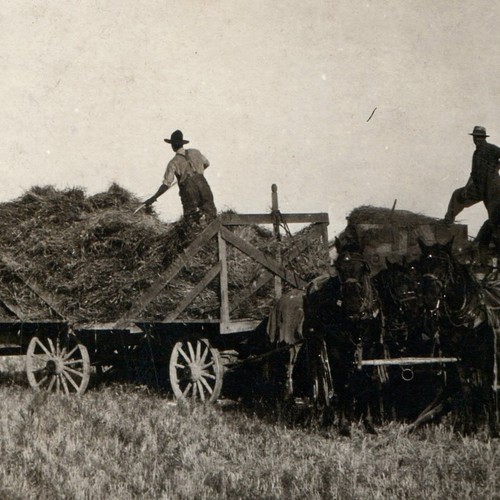 C1920s trattore agricolo - trattore,
