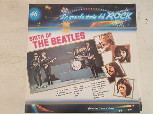 Disco giri vinile birth - disco,