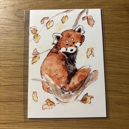 Stampa red panda - red,