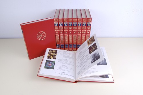 Enciclopedia della salute - , 10