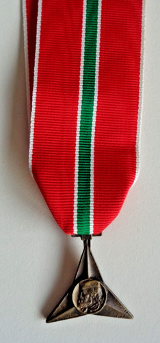 Medaglia divisione partigiana - medaglia,