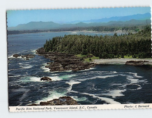 Postcard pacific rim national - postcard,