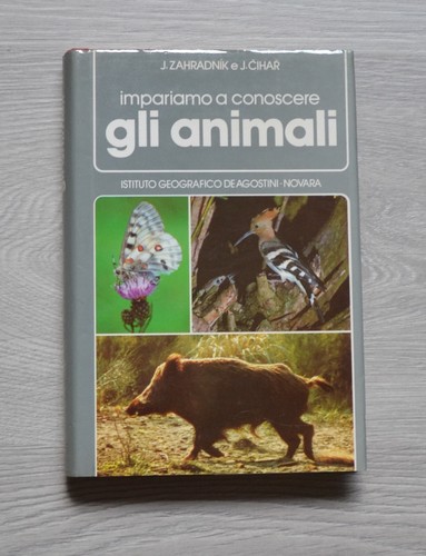 Impariamo conoscere gli - impariamo,