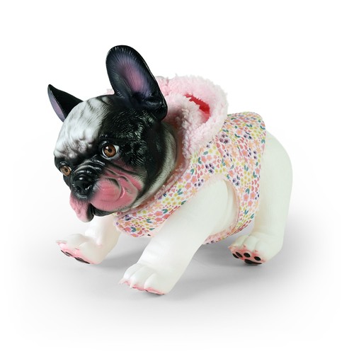 Bulldog francese abito 26 - francese, in