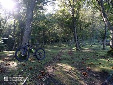 bici mtb 29 focus Ravel carbonio 