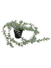 IKEA FEJKA Pianta Artificiale