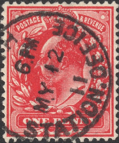 273 intense rose - sg,