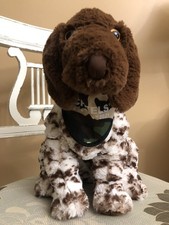 Puntatore tedesco pelo corto