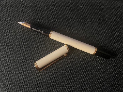 Penna stilografica waterman - penna,