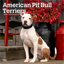 American Pit Bull Terrier |