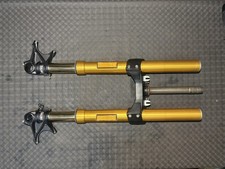 Forcella ohlins ducati diavel - forcella,