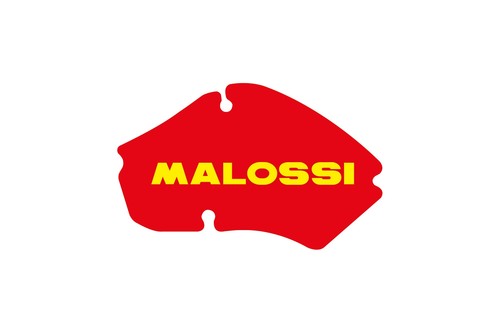 Elemento filtrante malossi - elemento,