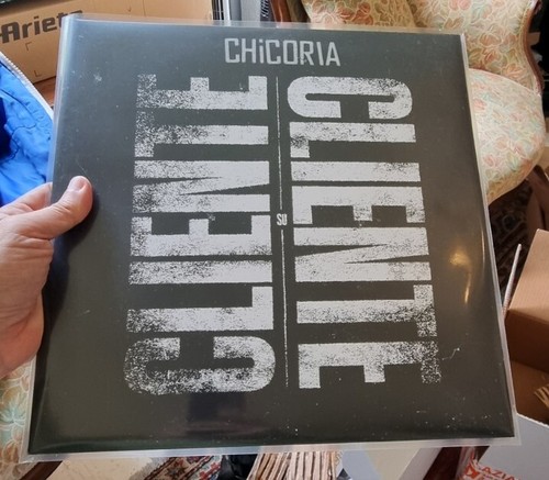 Chicoria cliente - su,