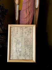 1890iconographia florae - 1890iconographia,