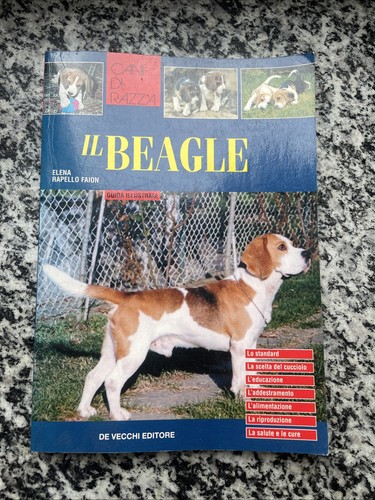 Beagle rapello faion - rapello,