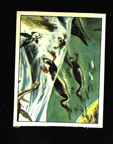 Animali preistorici - preistorici, (1974)