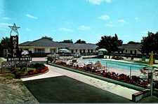 Cartolina White Horse Motel