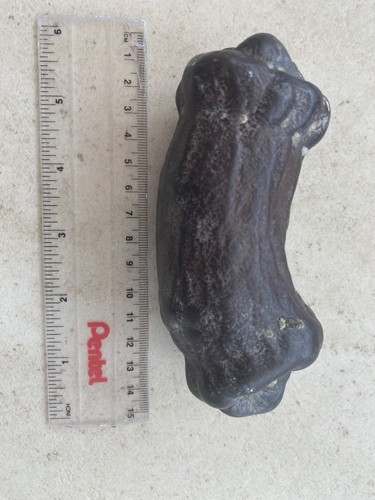 Nodulo marcasite